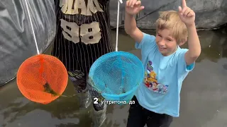 Охота на КРОКОДИЛОВ 😱🪑🪑