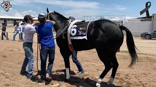 Derby El Mejor Del Norte Semifinales Satevo Race Tracke