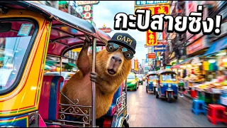 Vlog คาปิบาร่าวีไอพี! ตามติดชีวิต "กะปิ" วันพักผ่อนสไตล์ไทยแท้ เที่ยวภูเก็ตดีกว่า✨