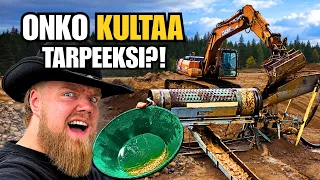 OSTETTIINKO OMA KULTAVALTAUS KONEINEEN LAPISTA?!