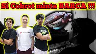 AURANTI BUDDYFISH DISALONIN SAMA Bang Fish DAN FAJAR ARIEF