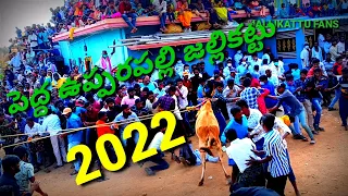 pedda uppara palli jallikattu 2022 🐅🐅🐅🚩 #peddaupparapalli