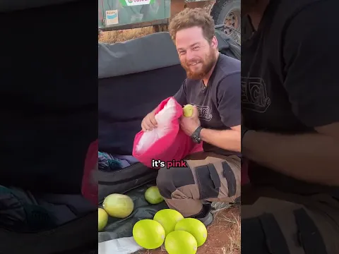 THERE'S ANOTHER MELON! 🤣 BEST prank of the YEAR!🍈🍈🍈