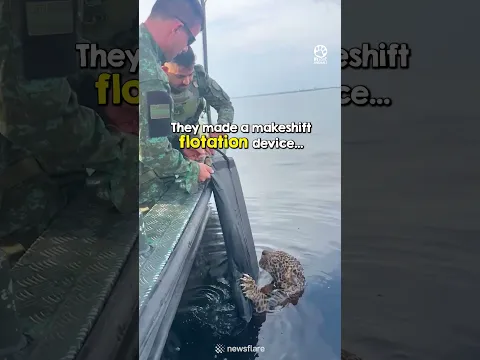 Thank you for helping this beautiful creature ❤️