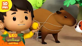 ¡SALVEMOS A LA CAPIBARA! 🛟 | Los animales más adorables | Leo, El Explorador | Animación Niños