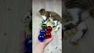Cat Barsik Beads 🍄 Cubes 🎲🌈 Reverse video