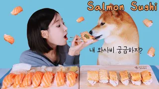 연어초밥 같이 먹었어연 (은행골 초밥)