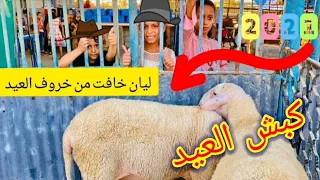 خروف عيد الاضحى 2021 🐏 ليان خافت من خروف العيد/ الصدمة في مزرعة من مزارع فلسطين شاهد