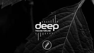 Ursu - Jungle Ambience (Original Mix) DHN174