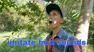 entertainment - imitating bird sounds - nguyen dien trung
