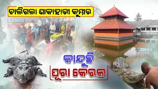 Special Report: Worlds Only "Vegetarian Crocodile" Babiya, Dies At Kasaragod Lake Temple, Kerala