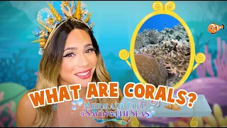 Ep 1: What Are Corals? | Mermaid Elle - Saving the Seas