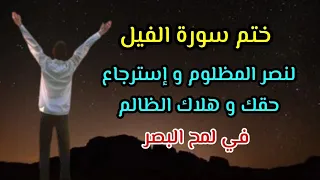 ختم سورة الفيل لنصر المظلوم و هلاك الظالم و إسترجاع حقك إقرأها بهذا العدد و سترى عجائب قدرة الله