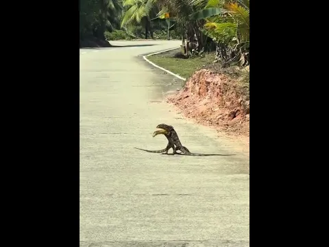 Esque tengo ganas de ju ju