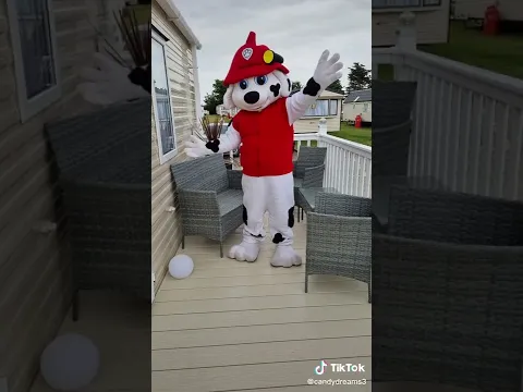 Marshall from PAW Patrol in Real Life #shorts #pawpatrol
