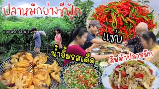 EP.554 ปลาหมึกย่างซีฟู้ด กับน้ำจิ้มรสเด็ด เเละส้มตำปลาหมึก สุดยอดเเจ่มมาก เก็บพริกขี้หนูพริกจินดา