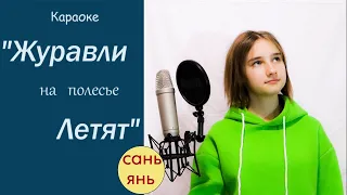 Песня "Журавли на полесье летят" / песни про родину / караоке/ сань янь