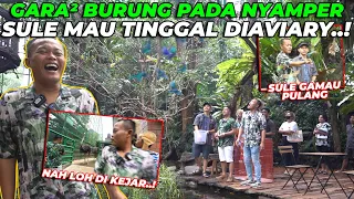 SULE KAGET ADA HUTAN HUJAN TROPIS DITENGAH KOTA..! TALI POCONG DEWASA BERKELIARAN DI AVIARY..