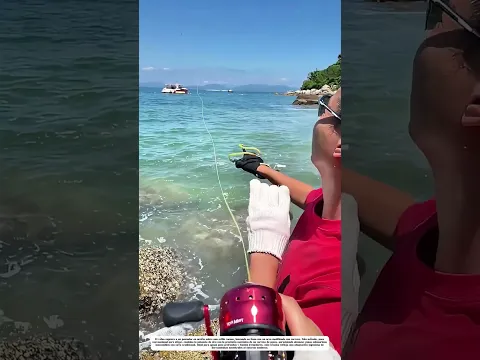 Lanzamiento con precisión: Cómo un cañón de pesca transforma la costa en zona de captura