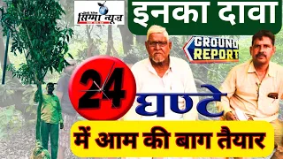 इनका दावा 24 घंटे में आम की बाग तैयार ।कितना सच।Avon Nursery|Malihabad|Ground Report|Sigma News|Big