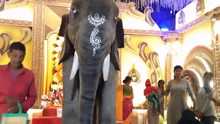 Dongaria Kali Puja pandal 🙏❤