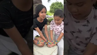 Shadia en el Parque (Compilación)