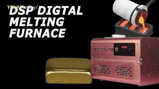 2kg DSP mini gold furnace