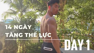 [14 NGÀY TĂNG THỂ LỰC] Ngày 1