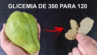Glicemia De 300 Para 120 Em menos de 3 horas Com Uma Xícara Dessa bebida.