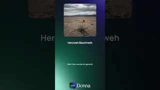 Herzweh Bauchweh