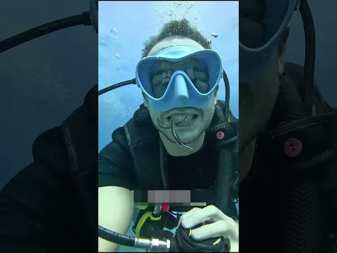 This fish is called the doctor of the sea🩺🦈