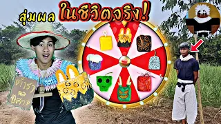 สุ่มผลปีศาจในชีวิตจริง24ชั่วโมง | Bloxfruits