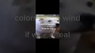 Colors of the Wind x If We Be Real