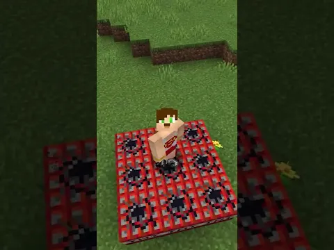 minecraft AMA ölürsem 1000 TL kazanırım