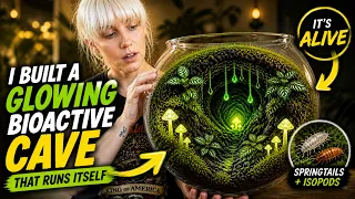 I Built a Glowing Bioactive Cave That Runs Itself ( Full Terrarium Build )