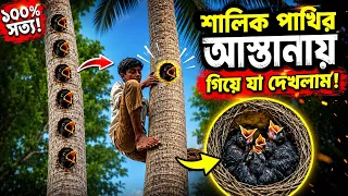 শালিক পাখির আস্তানায় গিয়ে যা দেখলাম! 😱