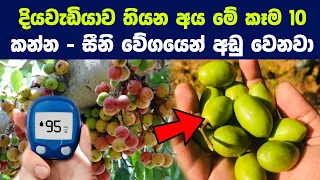 දියවැඩියාව තියන අය කන්නම ඕන කෑම ජාති 10 ක් | 10 Best Foods to Lower or Regulate Your Blood Sugar