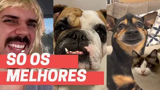 MELHORES DA SEMANA - MADA, BICA, LEO E LOLA