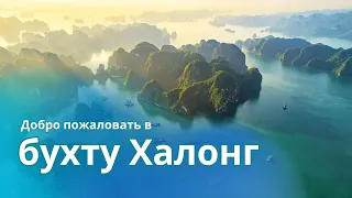 Добро пожаловать в бухту Халонг