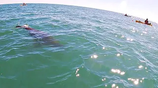 EMERGIÓ BUBU DE LAS PROFUNDIDADES PARA LLEVARSE NUESTRA PESCA