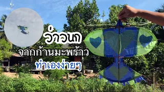 สอนวิธีทำว่าวนกจากก้านมะพร้าวง่ายๆ!! | How tomakr a bird kite