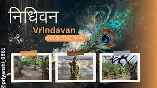 NIDHIVAN || Vrindavan Mathura #priyanshidiwakarvlogs #Vrindavan #nidhivan #vlog #yogafusionpriyanshi