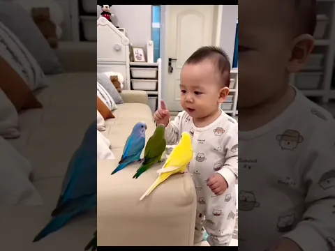 The little child was very happy to see the birds acting. #shortsfeed #amazingfacts