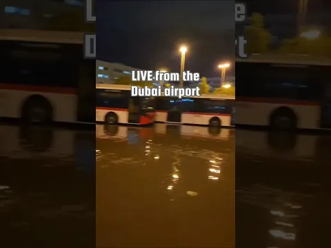 It's a little wet here in #Dubai!🥹Currently stuck at the airport on the way to #Token2049 ☔#flooding
