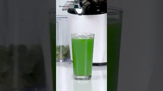 Easy Celery Juice Recipe🥬 l Kuvings Whole Slow Juicer REVO830