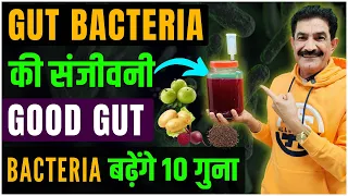 10x Your Good Gut Bacteria's Population | Best Homamade Drink For Gut Bacteria in Hindi | Ram Verma