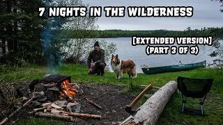 7 Night Wilderness Camping Adventure With My Dog [EXTENDED VERSION] (Part 3 of 3)