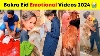 Bakra Eid Emotional And Crying Videos 😭