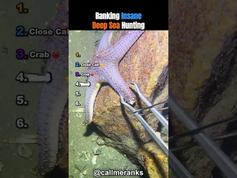 Ranking Insane Deep Sea Hunting! 🐠😨😭 #usa