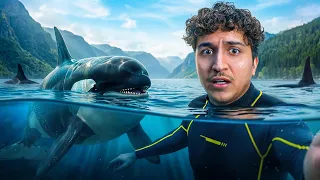 72H chez l'animal le plus Dangereux du Monde (Reportage)